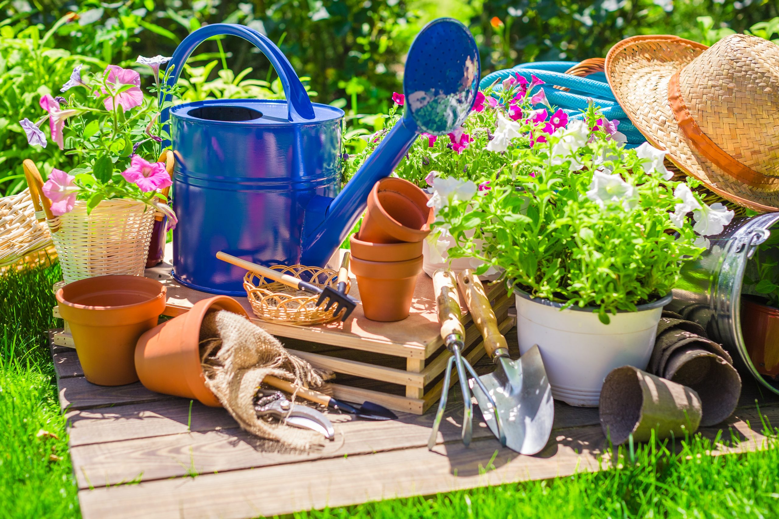 Search is like gardening.
