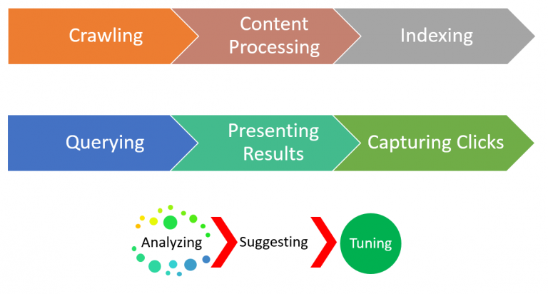Search Processes