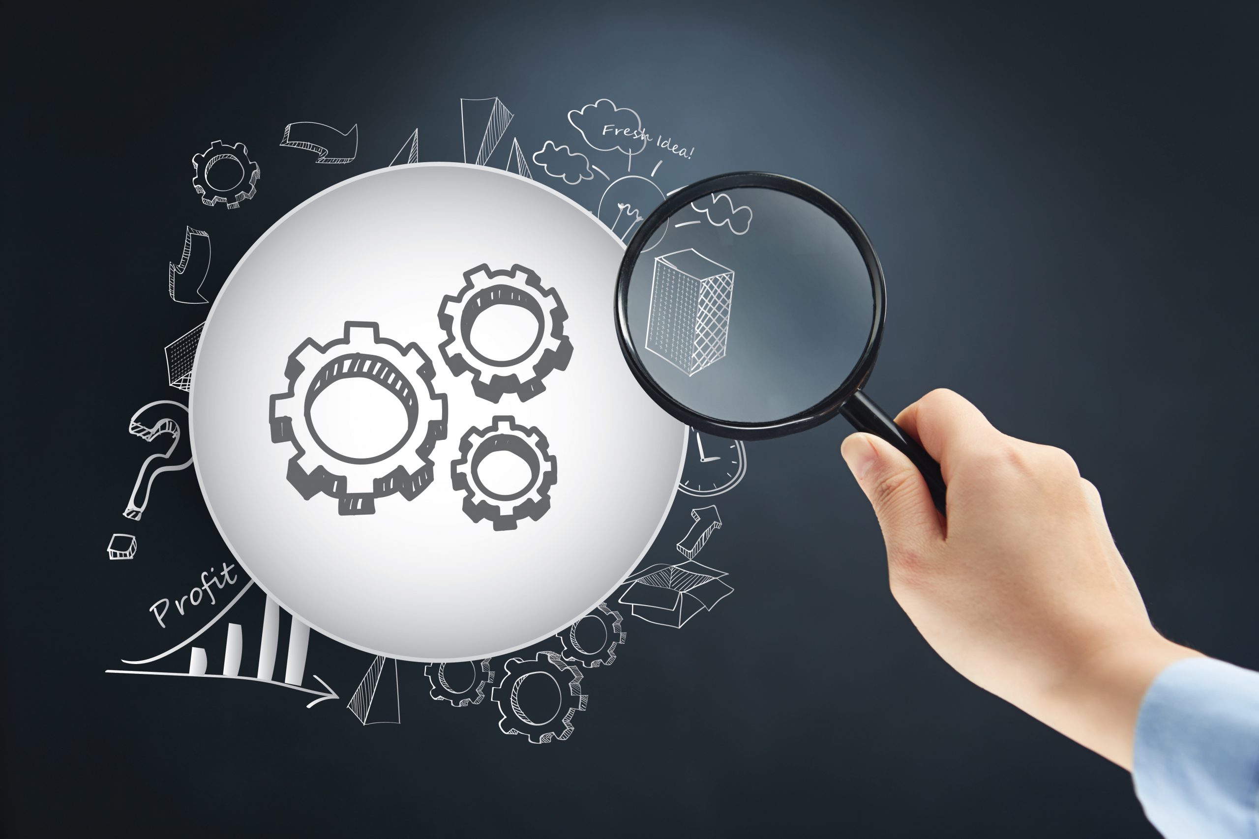 Query suggestions list by Barbara Chudak